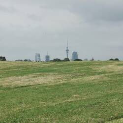 Skyline von Auckland