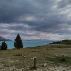 Morgens halb neun in NZ