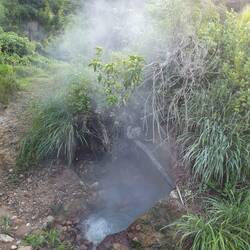 Mmmh... duftet die Schwefelquelle lecker. 😣