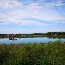 Fish hatchery