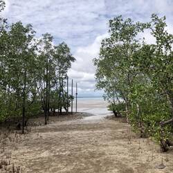 Low tide - unfortunately we saw no 🐊🐊