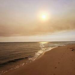 Rauch vom Buschfeuer