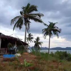 Der tolle, sich mäßig lohnende Aussichtspunkt 😅