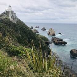Nugget Point