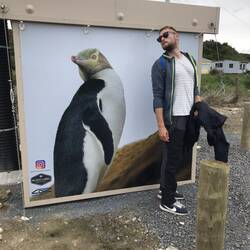 Leider keine (echten) Pinguine erspäht