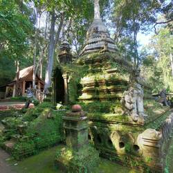 Naturbefallene Chedi im Wald
