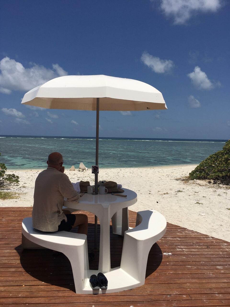 Contemplating paradise