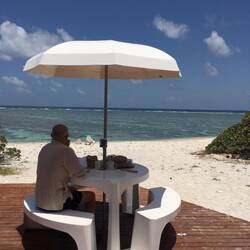 Contemplating paradise