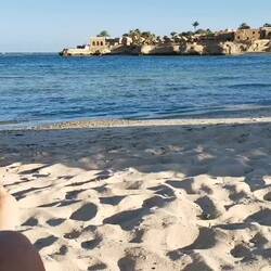 "El Quadim-Bay", 1st of December 2019!