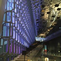 Harpa interior