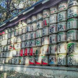 Sake-Fässer, um dem Meiji-Tonno zu huldigen
