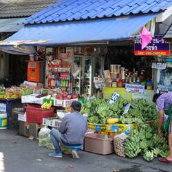 Einfach Früchte überall...