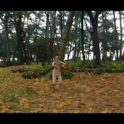 Der Herbst ist da...😂🍁🍂