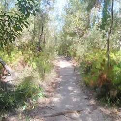 Way through the National Park on Tanglewood Walk