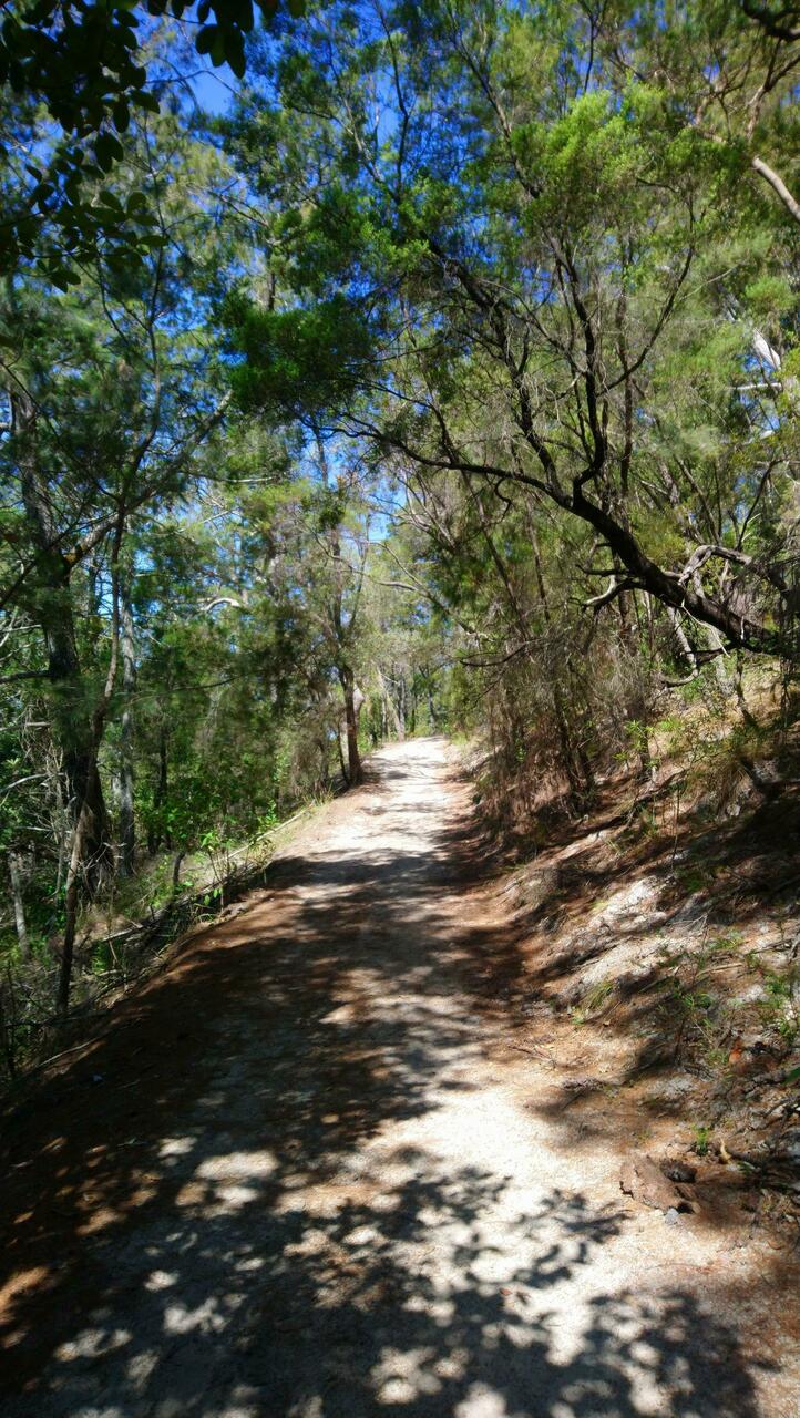 Up to the Noosa Hill