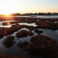 Die Lagune von Mesolongi