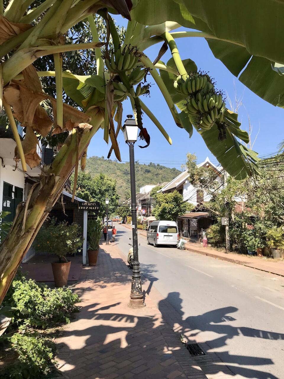 Bananen in den Straßen...