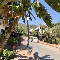 Bananen in den Straßen...