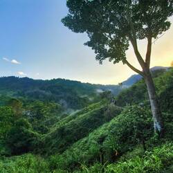 Sunrise ☺