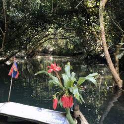 Die Bambusfloßfahrt zur Quelle