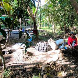 Immer beschäftigt mit Pflanzen pflegen und neu setzen :)