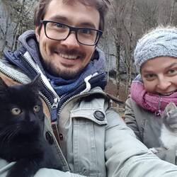 Die Katzenbabys beim Green Monastery