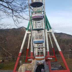 Im Borjomi Nationalpark