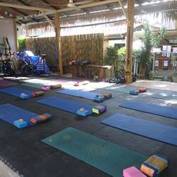 Yoga Shala