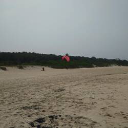 Air gliders landing on the beach.