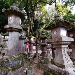 En chemin vers le Kasuga Taisha