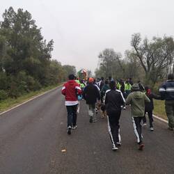 Morning procession