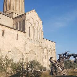 Auch Olivenbäume zur Kaltpressung von Öl werden kultiviert