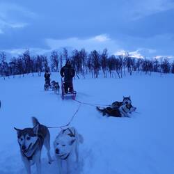 It's me! Dog sledding!
