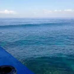 Christian beim Surfen