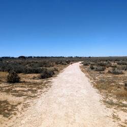 Wer findet die Emus?