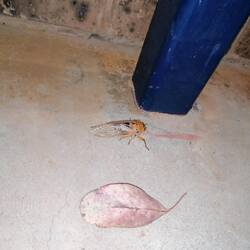 Größer als es aussieht 😲