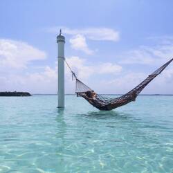 Überall Hängematten 🤩