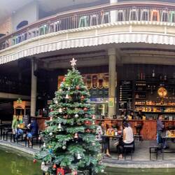 Brauerei in Bangalore 🍻😄 Sogar mit Weihnachtsbaum