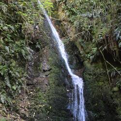 Acland Falls