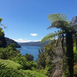 Queen Charlotte walk