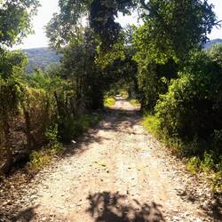 The beginning of the track. Enticing.