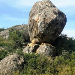 Nants ingonyama bagithi baba