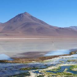 Laguna Blanca