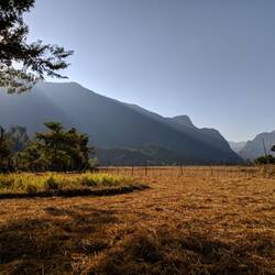 Die Reisfelder in der Abendsonne