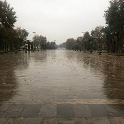 Rain at the palace