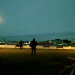 They are funny to watch but I wish I could have slept a little longer...