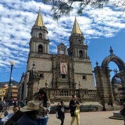 The cathedral