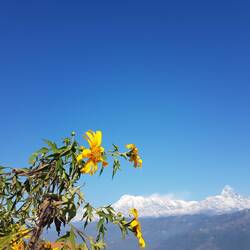 Das Klima in Pokhara ist durchweg angenehm ;)