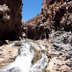 Nochmal die Freiheit des Wildbadens erleben