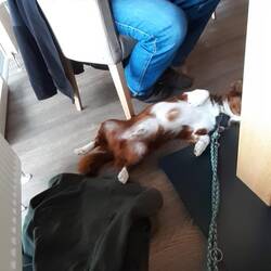 Oskar ist jetzt auch im Urlaub angekommen